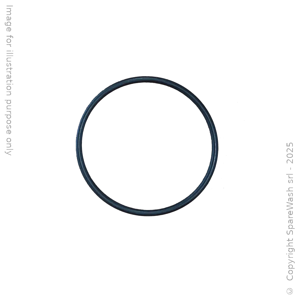 O-RING 48,9X2,62 EPDM