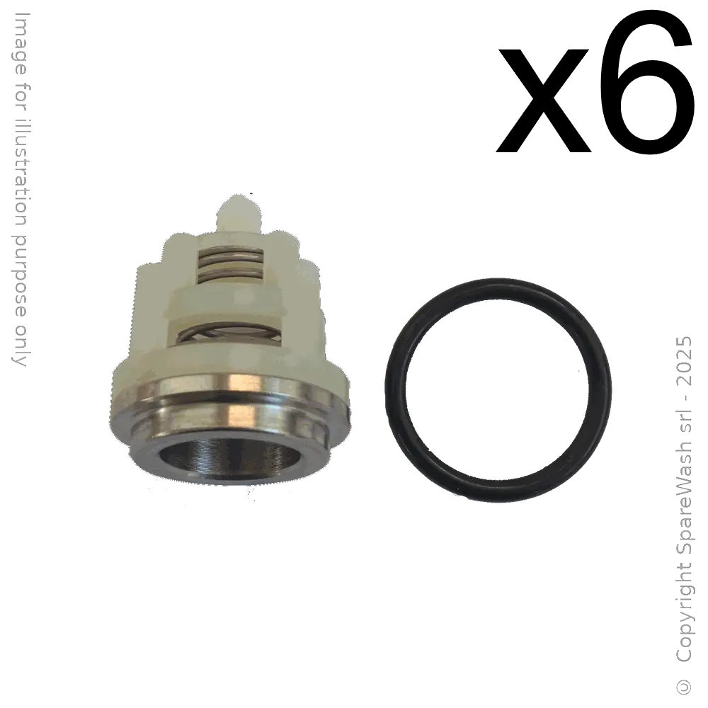 KIT VALVOLE UDOR [606103]