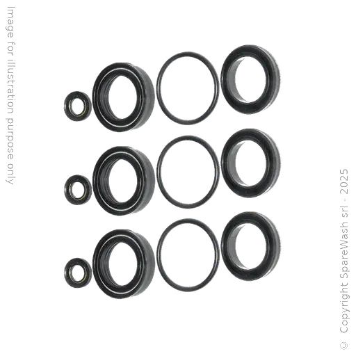 [60200136] KIT TENUTA ACQUA PER POMPA CAT 5CP