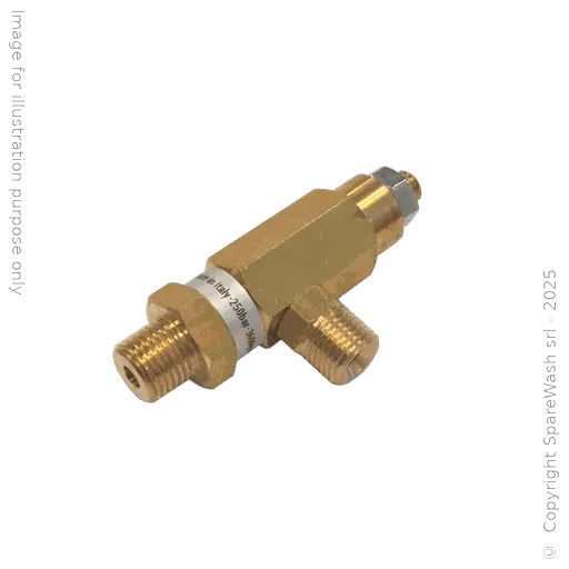 [61100060] VALVOLA DI SICUREZZA 250BAR G1/4 MG1000