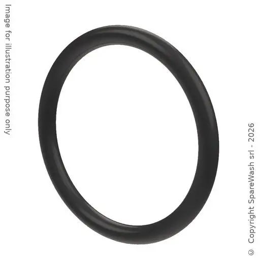 [91100047] O-RING 25,07X2,62 NBR