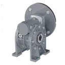 RIDUTTORE VITE SENZA FINE STM RMI 50S I:15 P71B5 ALBERO CAVO D24