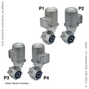 MOTORIDUTTORE FLENDER 0,25KW I:52 27,3RPM 230-400V 50HZ II