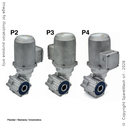 MOTORIDUTTORE FLENDER 0,25KW I:43 33,0RPM 230-400V 50HZ II