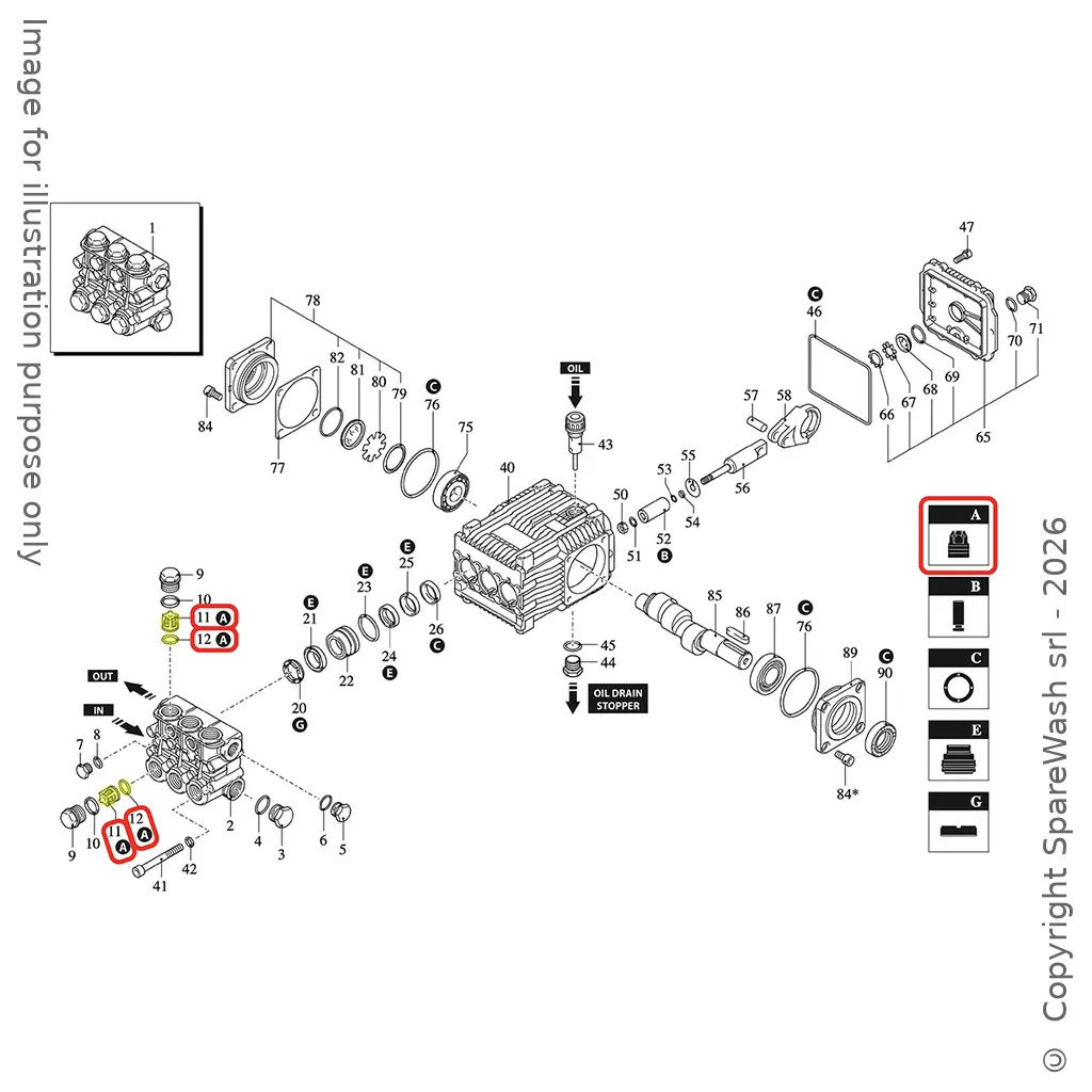 KIT VALVOLE ANNOVI REVERBERI [KIT 42328]  II