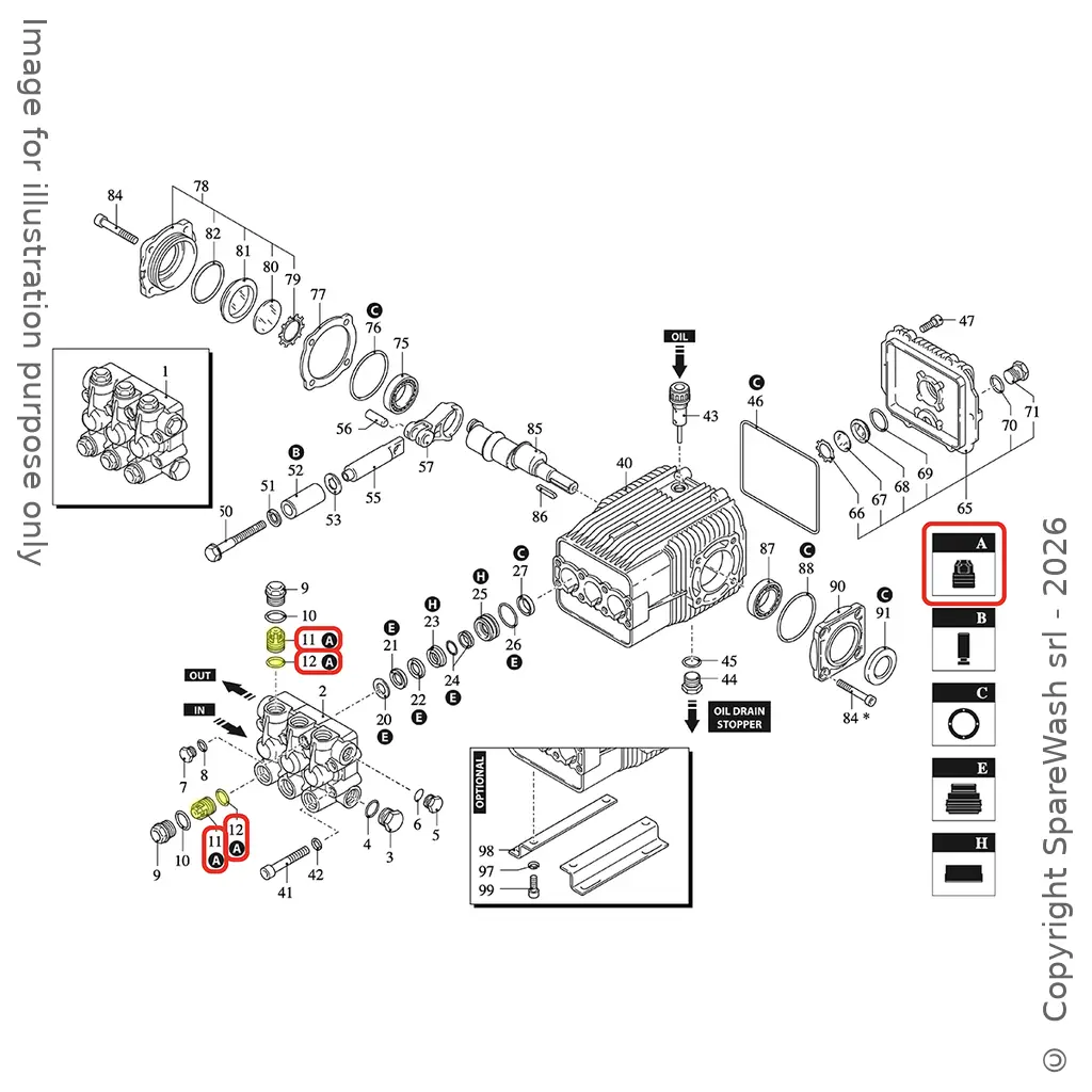 KIT VALVOLE ANNOVI REVERBERI [KIT 42169]  II
