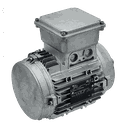 MOTORE 0,55KW 80G B14 4P 255-440V 50HZ IP56 SV
