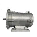 MOTORE TUBE 2,5KW 90G B5+B3 2P 230-400V 50HZ IP56 SV