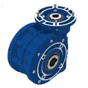 RIDUTTORE VITE SENZA FINE STM RMI 70P I:10 P80B14 ALBERO CAVO D28
