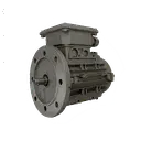 [10100110] MOTORE 0,18KW 63G B5 4P 230-400V 50/60HZ IP65 SV