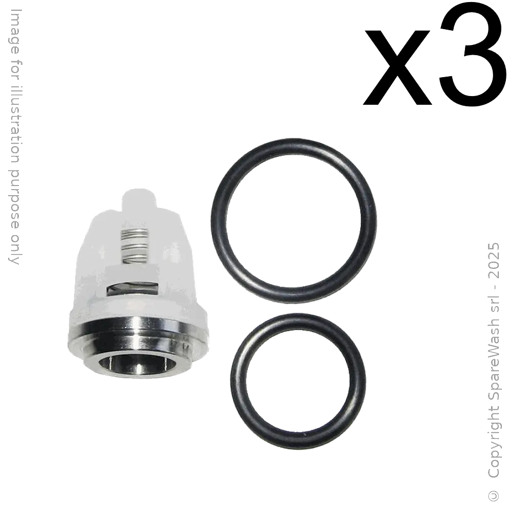 [60200105] KIT VALVOLE PER POMPA CAT 3CP