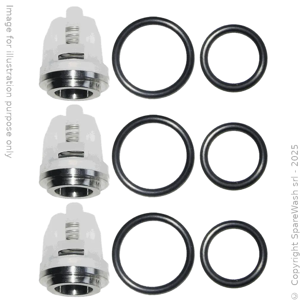 [60200105] KIT VALVOLE PER POMPA CAT 3CP