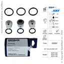 PUMP VALVE KIT CAT [33062]