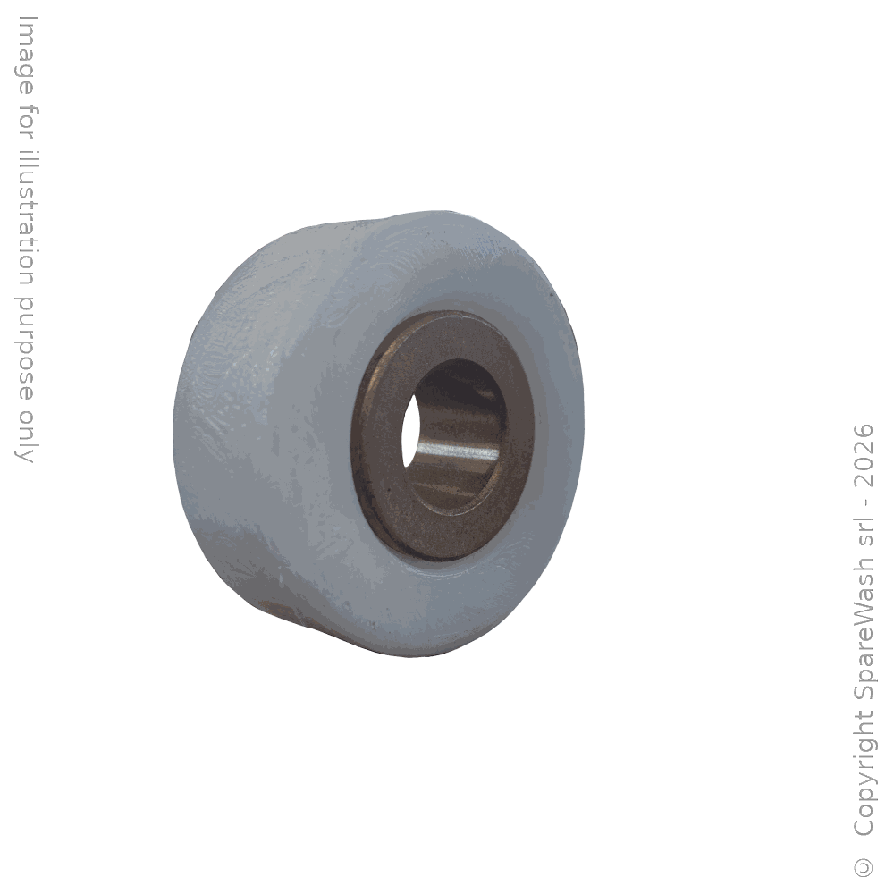 GALET POUR CHARIOT BROSSE LAVE-ROUE