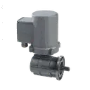 [20200022] MOTOREDUTOR CARRO CEPILLO VERTICAL 0,18KW 66RPM