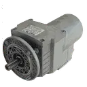 [20200053] MOTOREDUCTOR LAVA-RUEDAS 0,25KW 126RPM