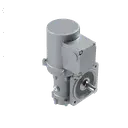 [20200091] MOTORÉDUCTEUR TRASLATION 0,37KW 42RPM