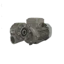 [20200183] MOTORÉDUCTEUR OSCILLATION HP 0,12KW 135RPM
