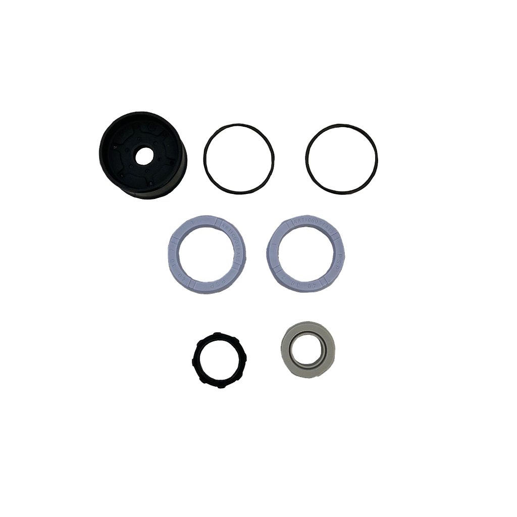 CYLINDER SEAL KIT 70200140