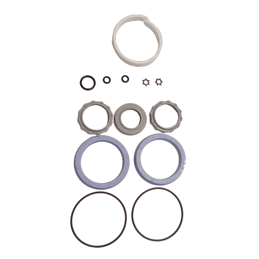 CYLINDER SEAL KIT D50
