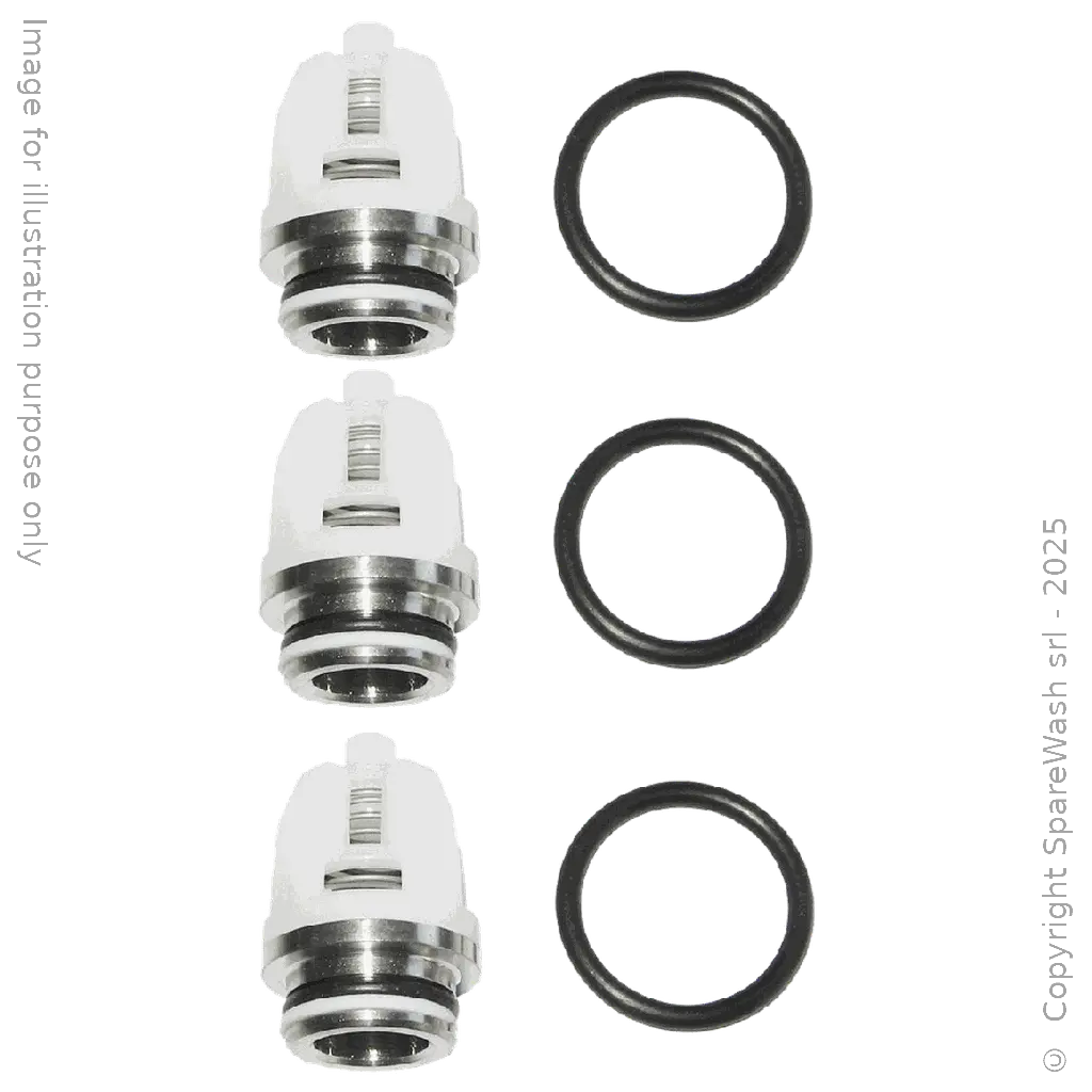 [60200129] KIT VALVOLE PER POMPA CAT 5CP