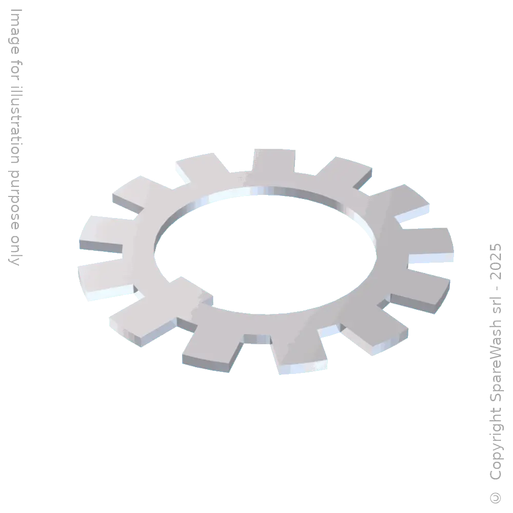 LOCK WASHER D25 GALVANIZED