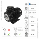MOTOR 3KW 100G B3 4P 230-400V 50HZ IP54 CV
