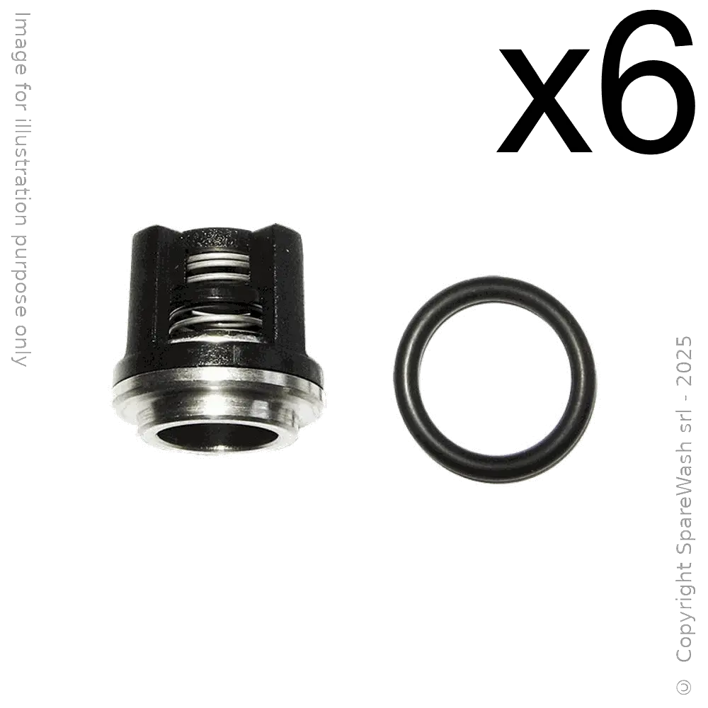 [60200198] PUMP VALVE KIT ANNOVI REVERBERI RW