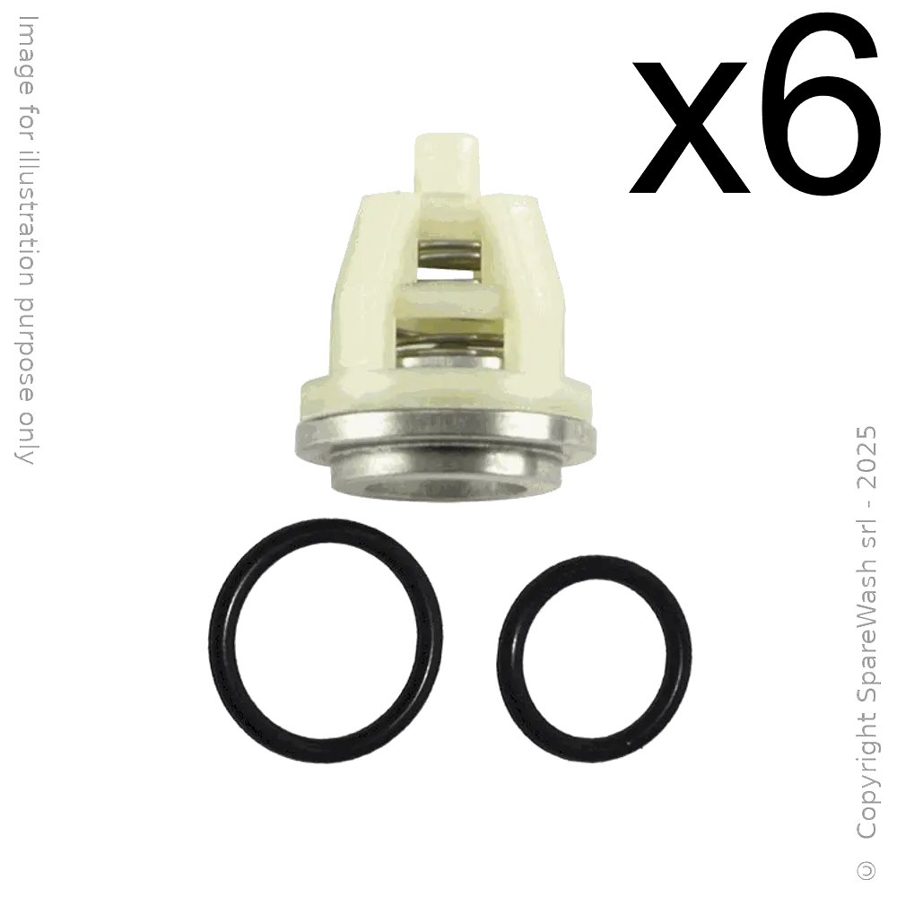 [60200228] KIT VALVOLE PER POMPA HAWK MT, NMT