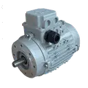 [10100578] MOTEUR 0,75KW 71G B14 4P 115-200V 50HZ IP56 SV