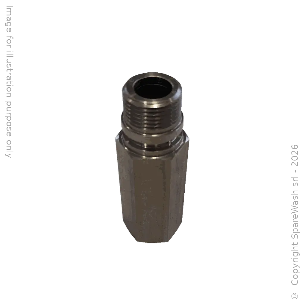PROLUNGA L50 M20X1,5M G1/4F INOX
