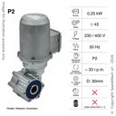 MOTORIDUTTORE FLENDER 0,25KW I:43 33,0RPM 230-400V 50HZ