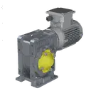 [20200428] MOTORIDUTTORE CARRELLO SPV 0,37KW 47RPM