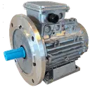 [10100615] MOTORE 4KW 100L B3+B5 2P 230-400V 50HZ IP56 SV