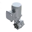 [20200480] MOTORIDUTTORE TRAINO 0,25KW 27RPM 127-230V