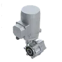 [20200503] MOTORIDUTTORE TRAINO 0,25KW 23,7RPM