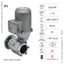 MOTORIDUTTORE FLENDER 0,55KW I:13 107,7RPM 230-400V 50HZ CON ALBERO