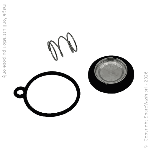 5 Valvole Di Ritegno Kynar 1/4 Con Membrana Viton - Nuove
