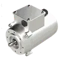 [10100028] MOTORE TUBE 0,18KW 63G B14 4P 230-400V 50/60HZ IP65 SV