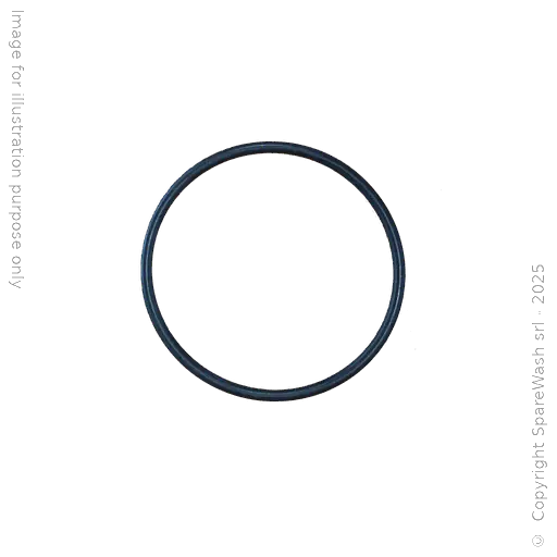 [91100085] O-RING 48,9X2,62 EPDM