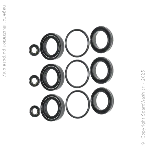 [60200112] KIT TENUTA ACQUA PER POMPA CAT 3CP