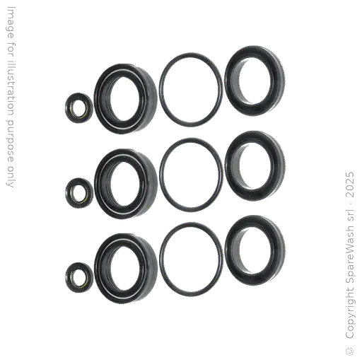 [60200136] KIT TENUTA ACQUA PER POMPA CAT 5CP