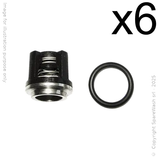 [60200198] PUMP VALVE KIT ANNOVI REVERBERI RW