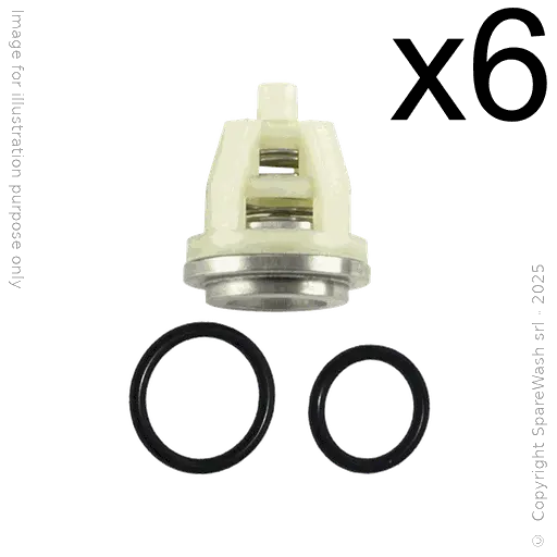 [60200228] KIT VALVOLE PER POMPA HAWK MT, NMT