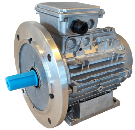 [10100615] MOTOR 4KW 100G B5+B3 2P 230-400V 50HZ IP65 SV