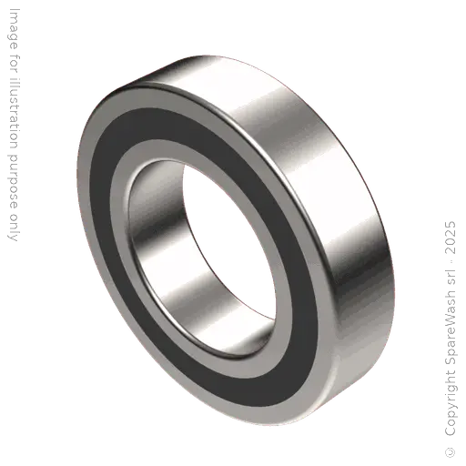 [21000102] LAGER 6007 2RS 