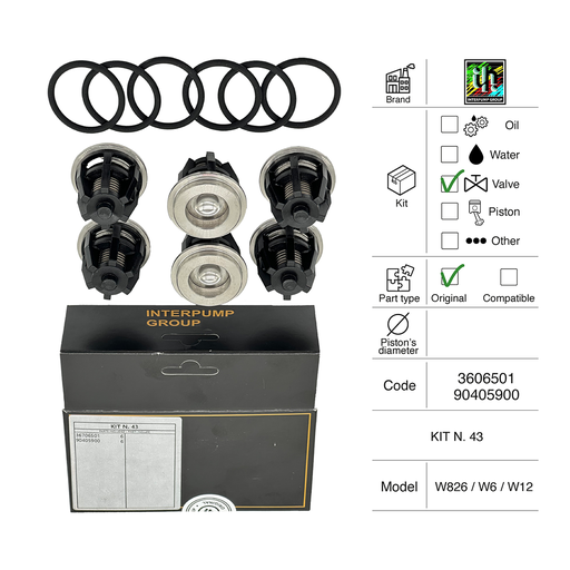 [60200617] KIT VALVOLE INTERPUMP [KIT 43]