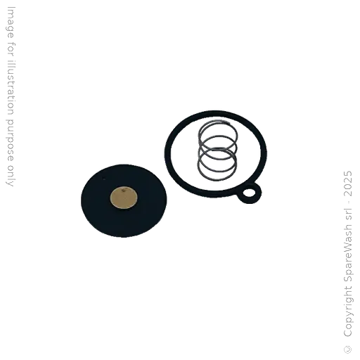 [60300553] MEMBRANE KIT RM24 NBR