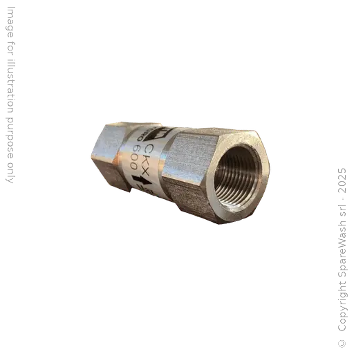 [61200029] CHECK VALVE G3/8 STAINLESS STEEL 380BAR