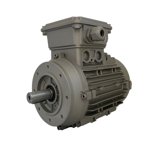 [10100011] SPEZIALMOTOR 0,75KW 80G B14 4P 230-400V 50/60HZ IP65 SV
